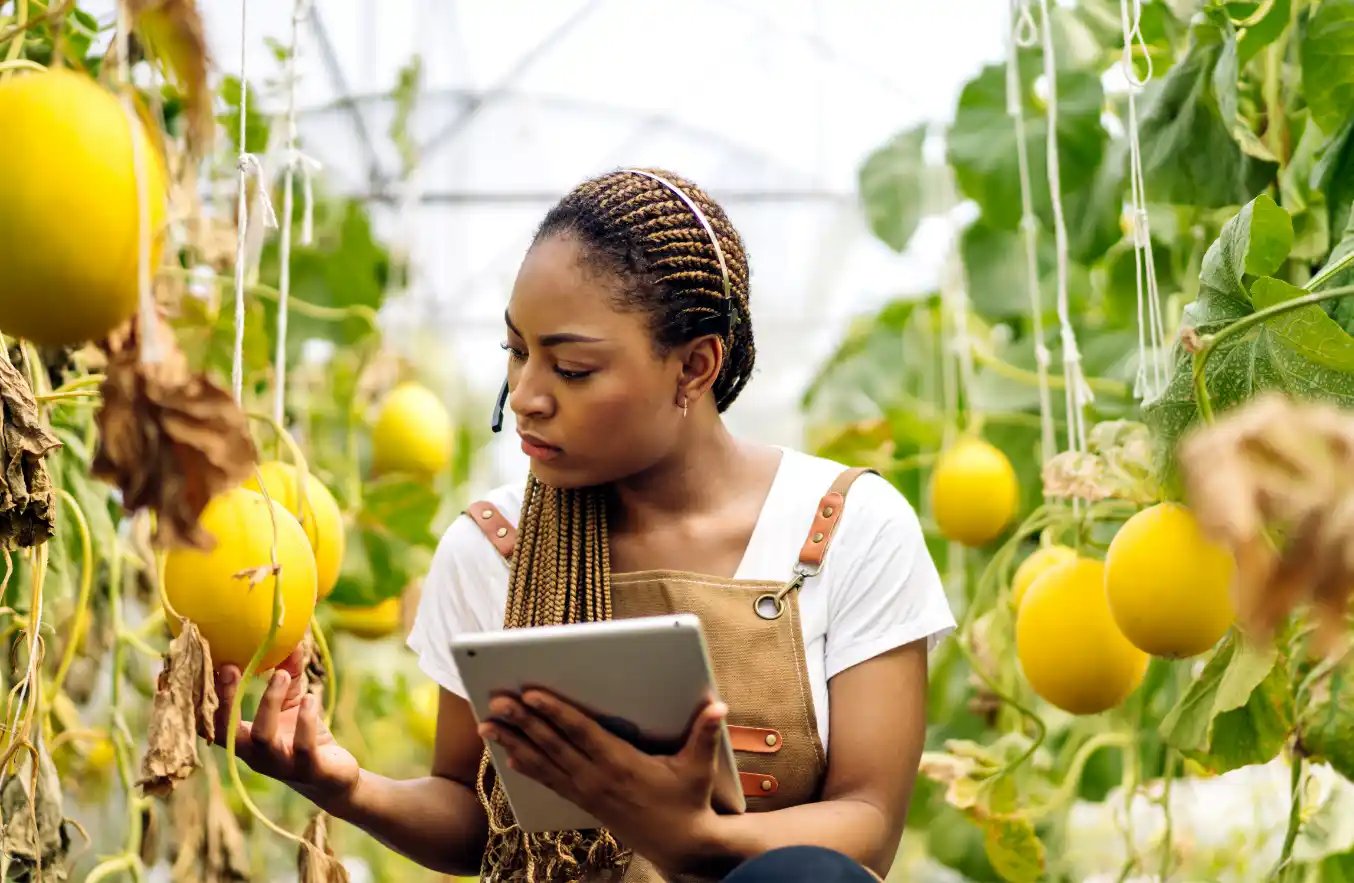 Energyhouse-duurzaam-ondernemen-1